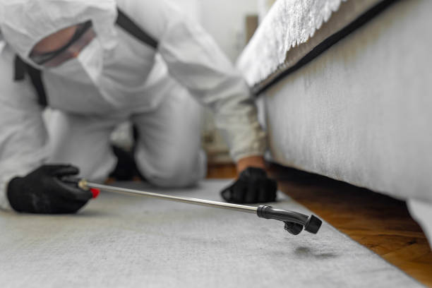 Professional Termite Control technician working in Stanton, NE