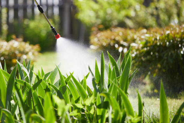 24/7 Emergency Termite Control experts in Stanton, NE